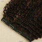 Single Piece 4 Clip Volumizer (Curly)