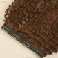 Single Piece 4 Clip Volumizer (Curly)