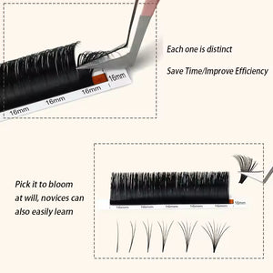 Eyelash Extension