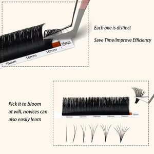 Eyelash Extension