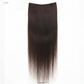Single Piece 4 Clip Volumizer (Straight)
