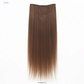 Single Piece 4 Clip Volumizer (Straight)